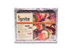 IGNITE DISPOSABLE BRAAI SMALL