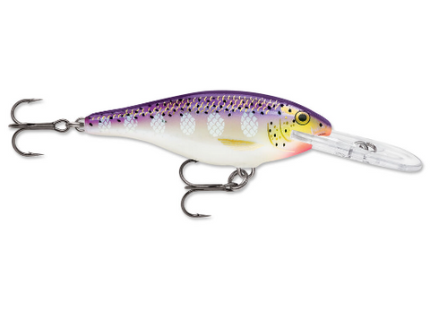 RAPALA SHAD RAP SR06 PURPLEDESCENT